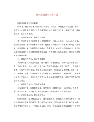 医院出纳新年工作计划