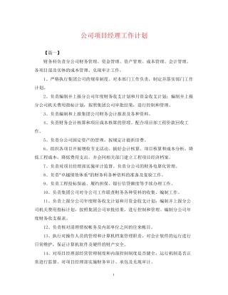 公司项目经理工作计划