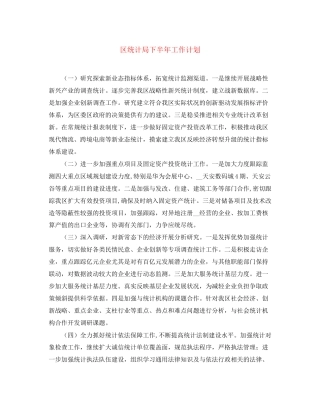 区统计局下半年工作计划