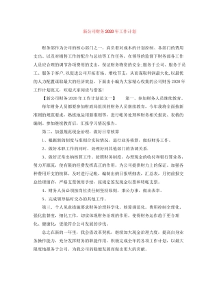 新公司财务年工作计划