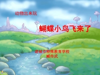 课件蝴蝶小鸟飞来了