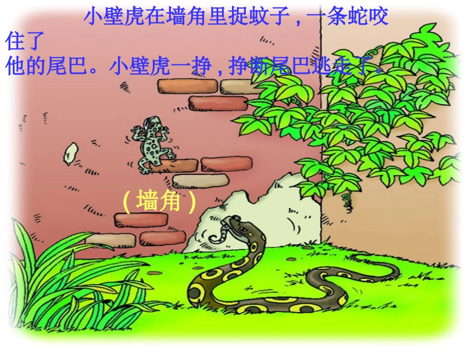 《小壁虎借尾巴》 (2)_第2页