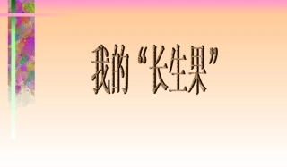 《我的“长生果”》课件