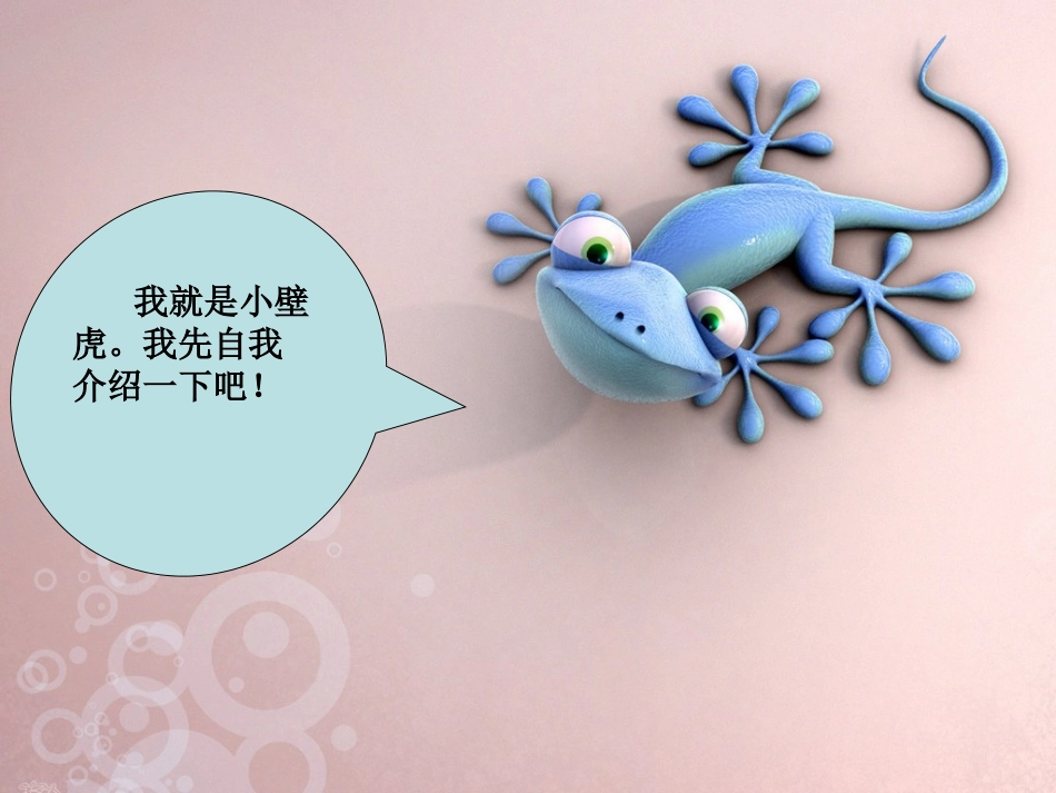 《小壁虎借尾巴》_第3页