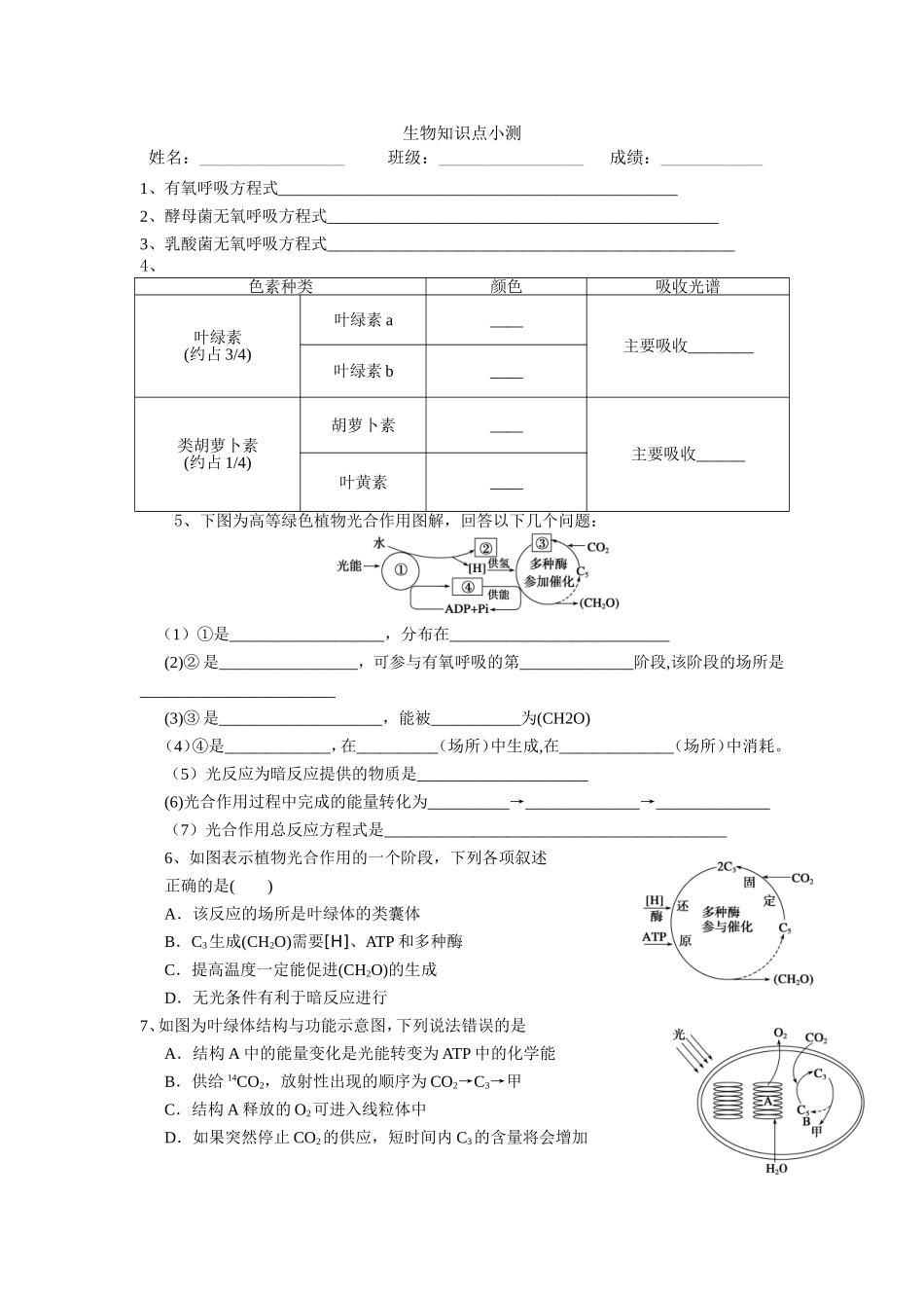 光合作用知识点_第1页