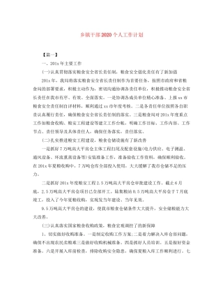 乡镇干部个人工作计划