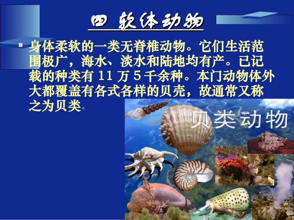 动物的主要类群（第二课时）_第1页