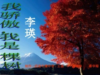 我骄傲_我是一棵树