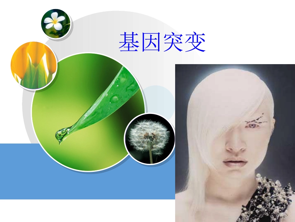 基因突变课件_第1页