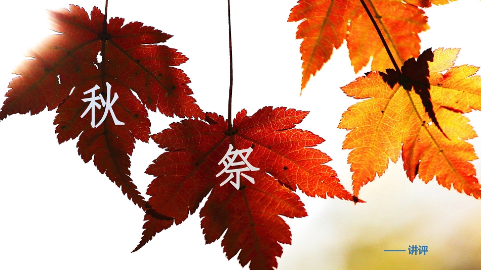 《秋祭》——小说讲评_第1页