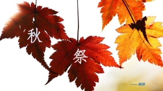 《秋祭》——小说讲评