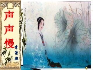 《声声慢》杨光勇整编