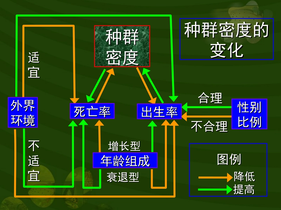 种群和生物群落(2)_第3页