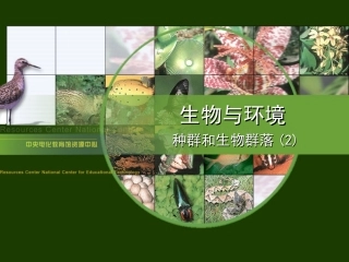 种群和生物群落(2)