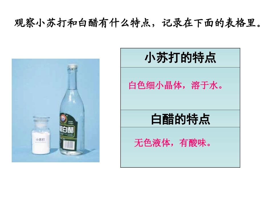 教科版科学六年级下册《小苏打和白醋的变化》_第2页