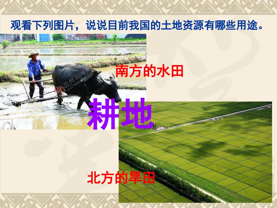 八年级上第三章中国的自然资源第二节土地资源_第3页