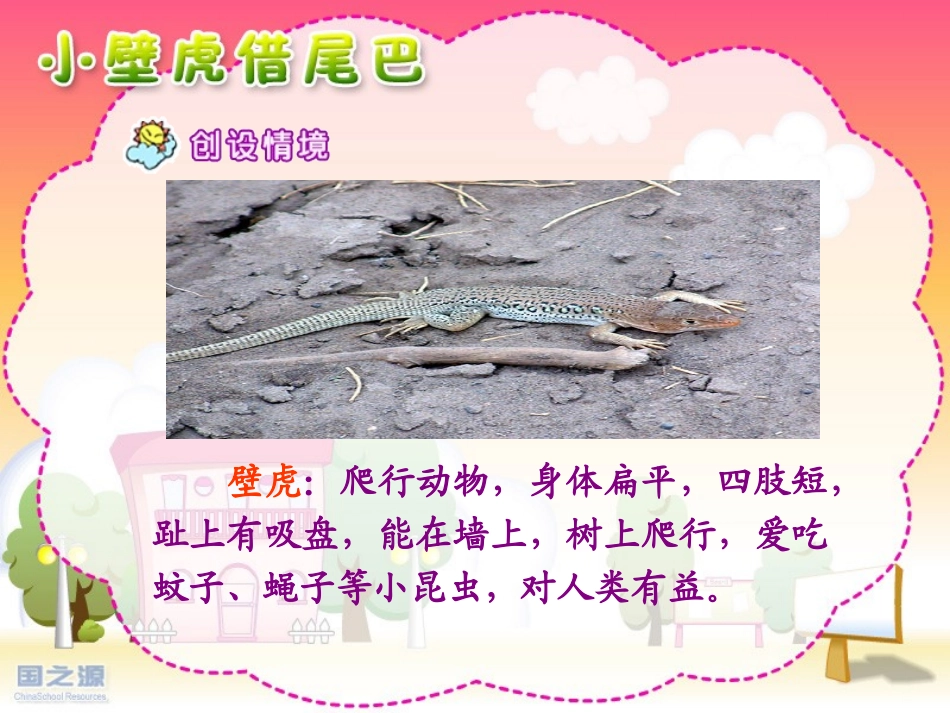 《小壁虎借尾巴》课件_第3页