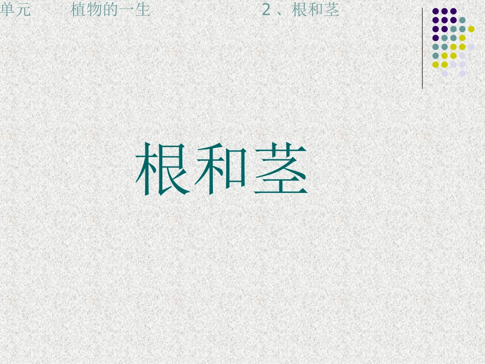 三年级下科学课件-根和茎苏教版_第1页