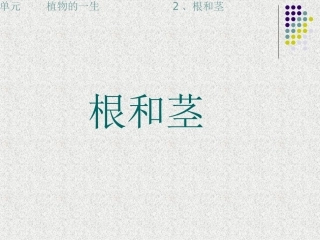 三年级下科学课件-根和茎苏教版