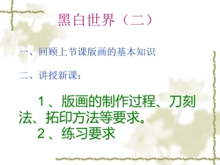 黑白世界第2课时