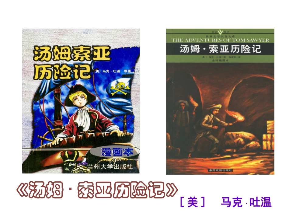 汤姆·索亚历险记(2)_第2页