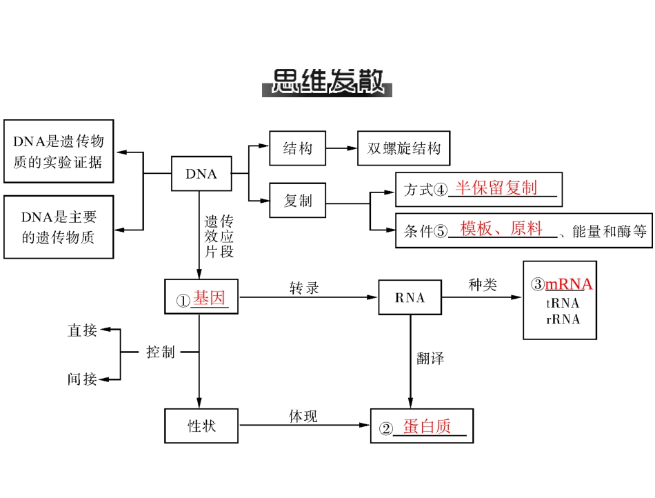 2013年高考二轮生物专题课件：专题四第1讲遗传的物质基础（人教版）(1)_第3页