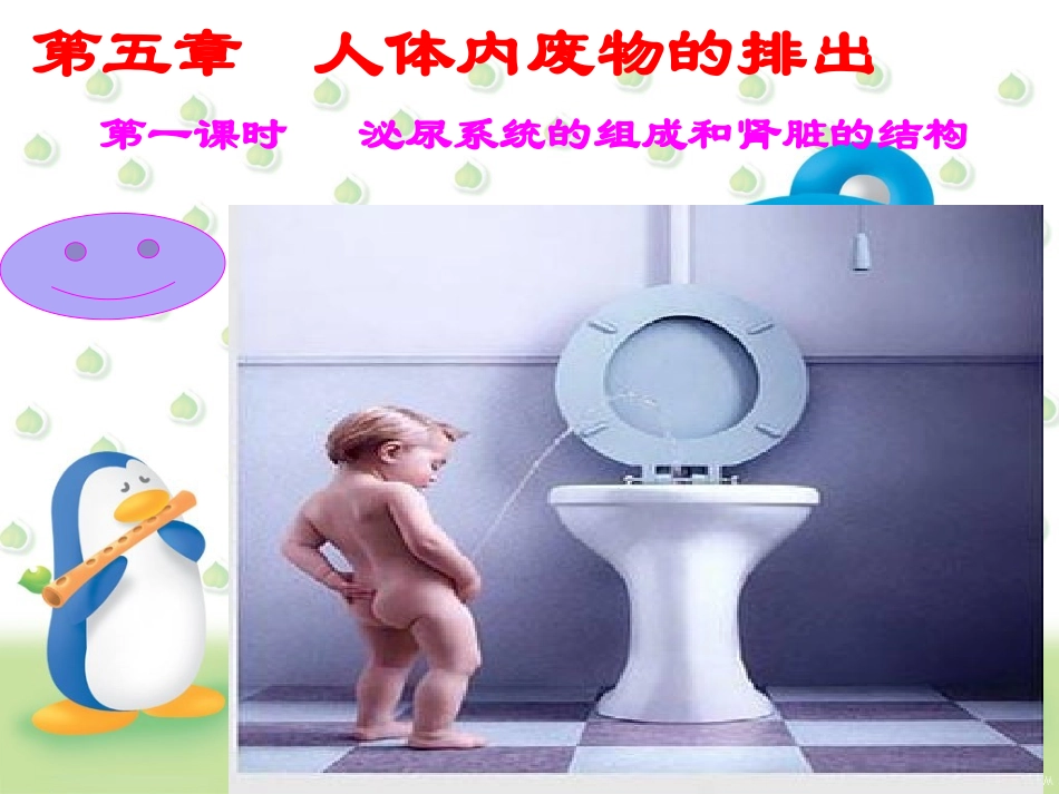 人体内废物的排出第一课时_第1页