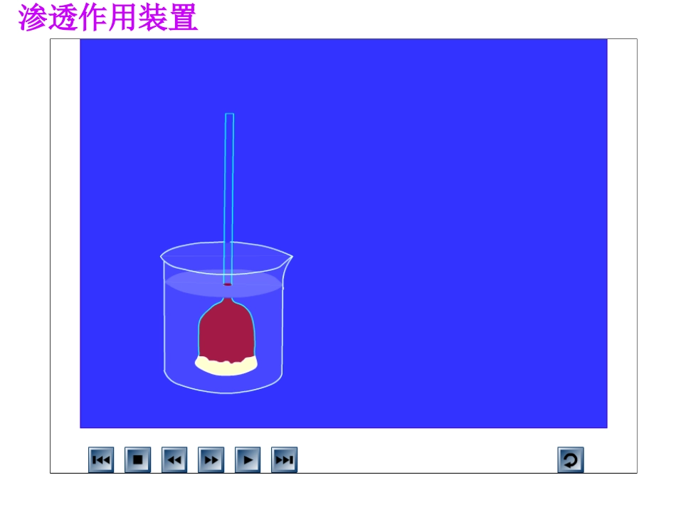 物质跨膜运输的实例（wyq）_第2页