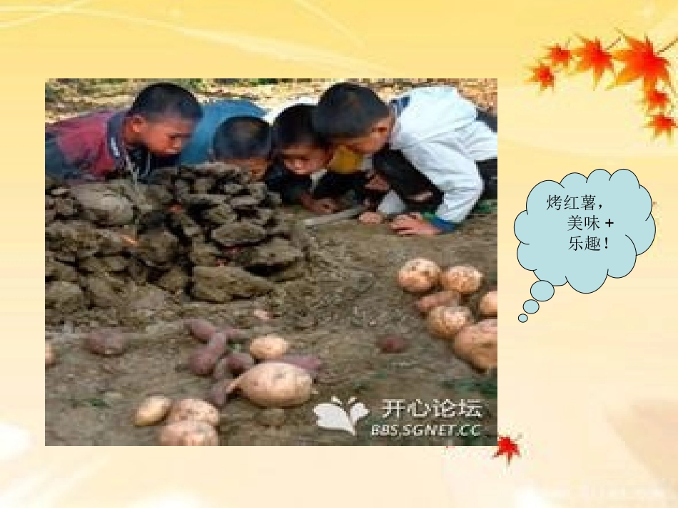 人教版八下《我的童年》_第3页