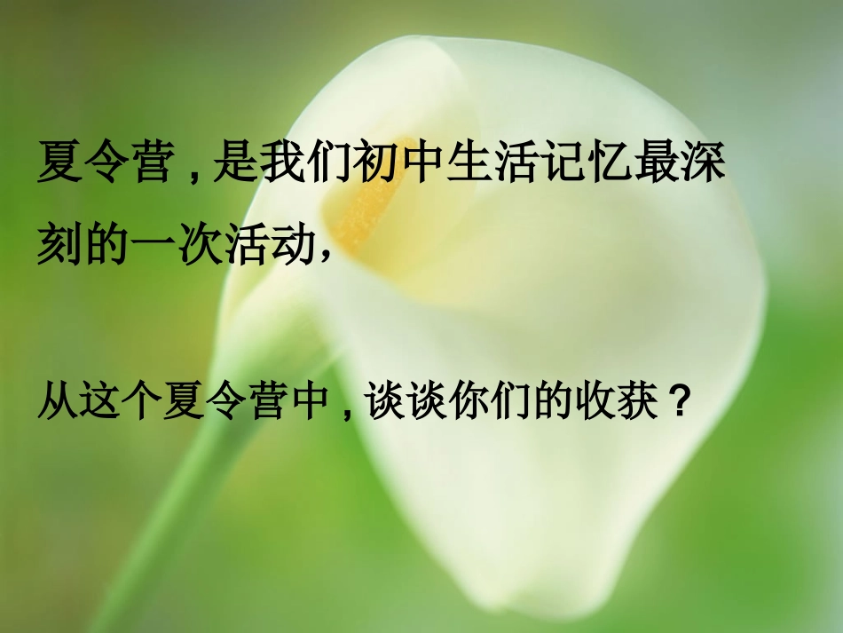 告别依赖走向自立演示文稿_第2页