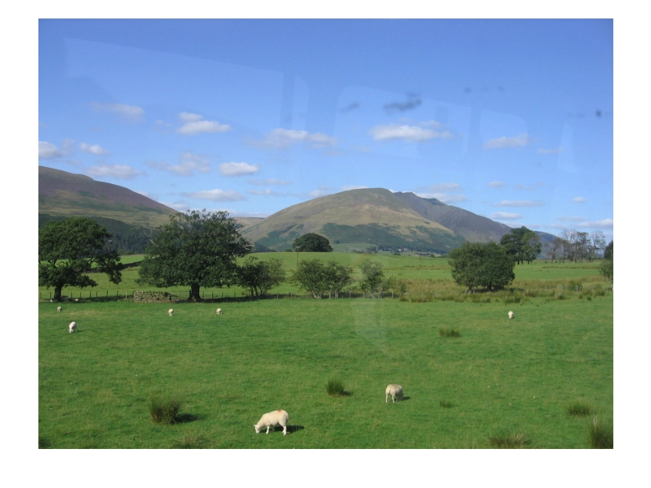 英国培训汇报会_第3页