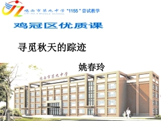 寻觅秋天的踪迹