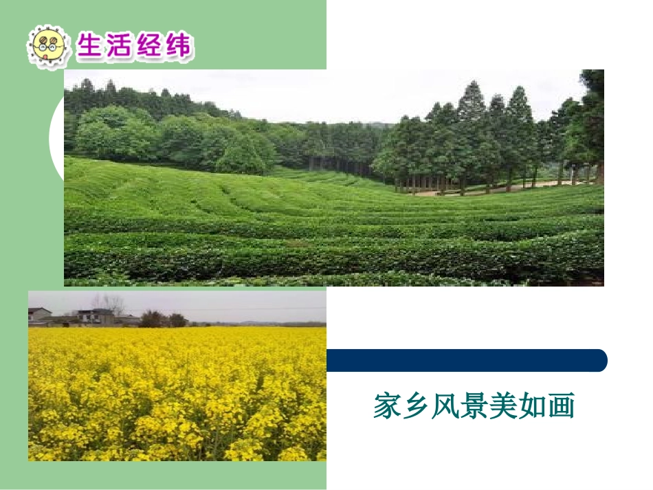 木城二小帅群人教小学《品德与_第3页