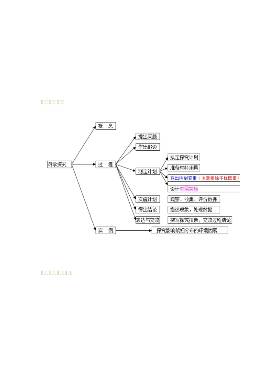初中生物知识点——思维导图_第1页