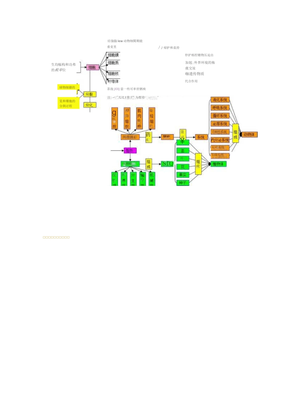 初中生物知识点——思维导图_第2页