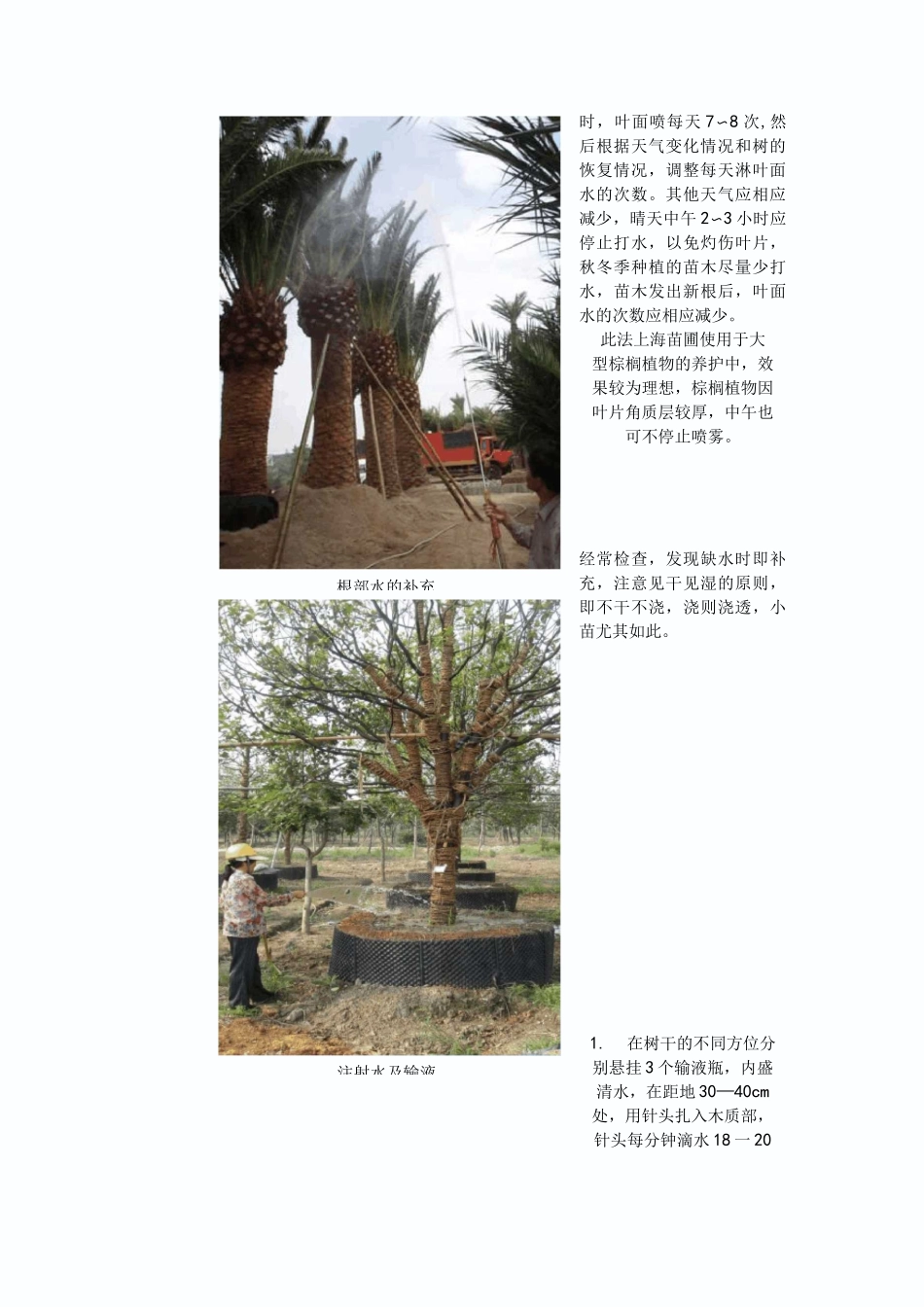 绿化养护技术交底_第3页