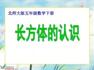 长方体的认识 (3)