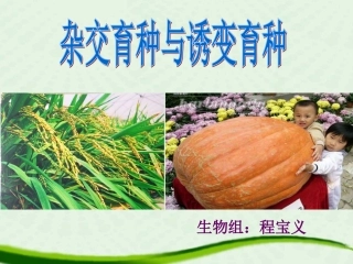 杂交育种与诱变育种出课新