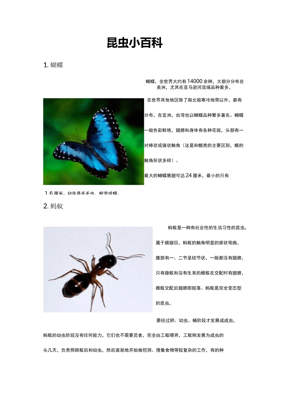 (完整版)昆虫名字+图片_第1页
