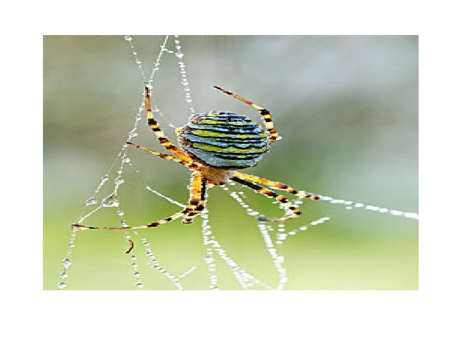 安於锦课件四下(2)_第3页