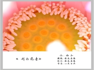 学会提问，学会思考