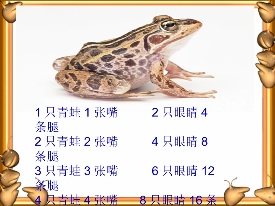 《鸡兔同笼》高效_第3页