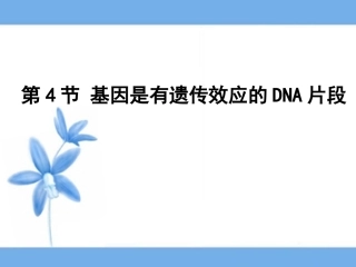 基因是有遗传效应的DNA片段