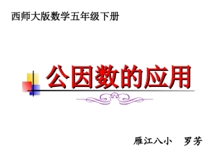 公因数的应用