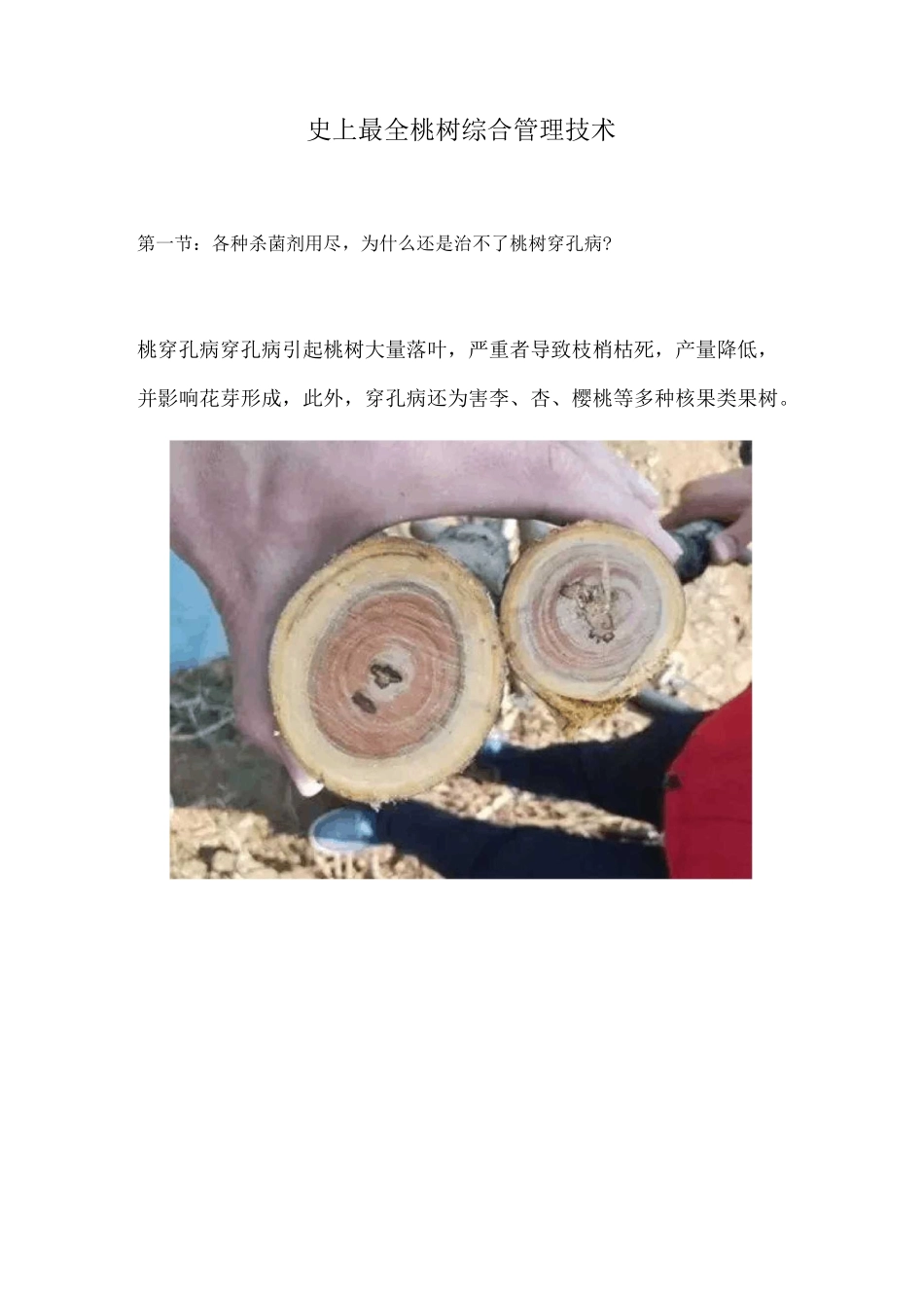 史上最全桃树综合管理技术_第1页