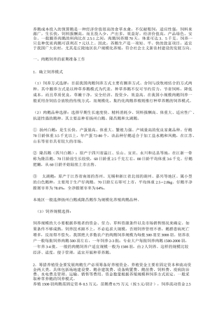 养鹅成本预算