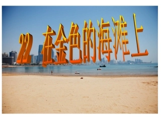 在金色的海滩上课件
