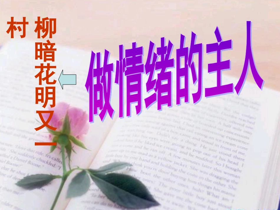 柳暗花明又一村_第2页