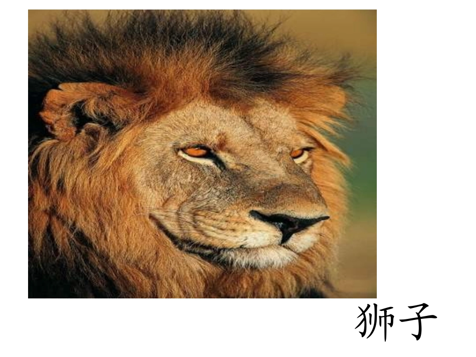 苏教版二年级语文下册识字6_第2页