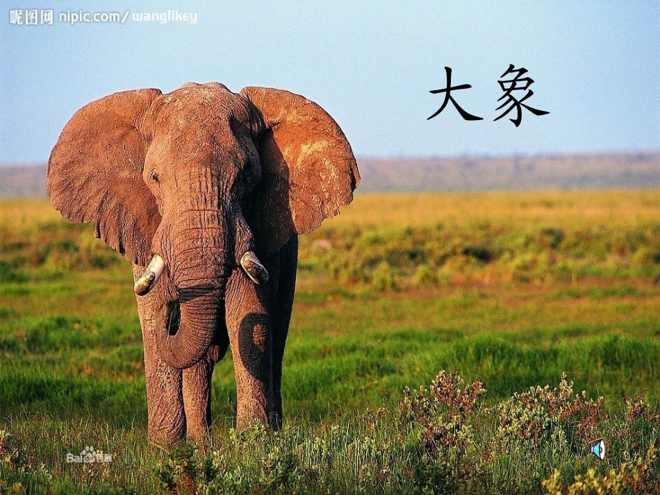 苏教版二年级语文下册识字6_第3页